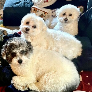 Fundraising Page: Khanh Le